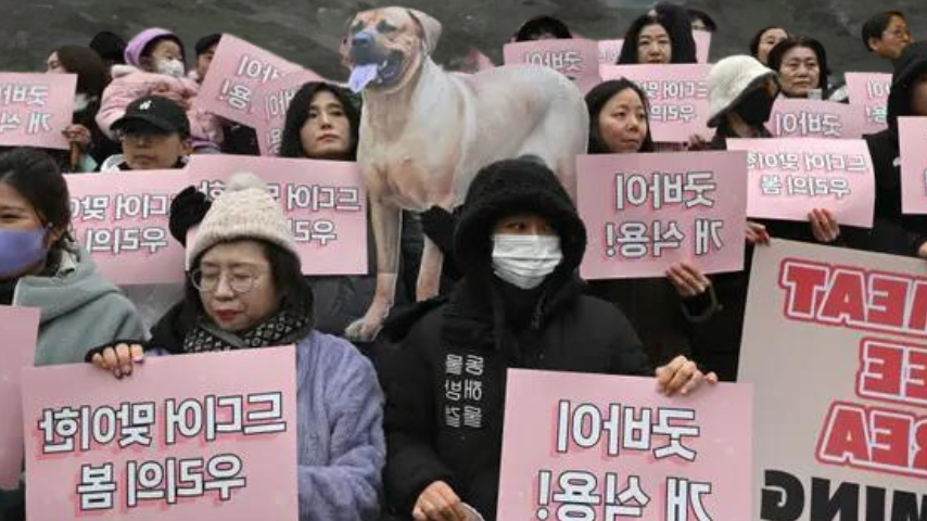 South Korea’s parliament bans production, sales of dog meat